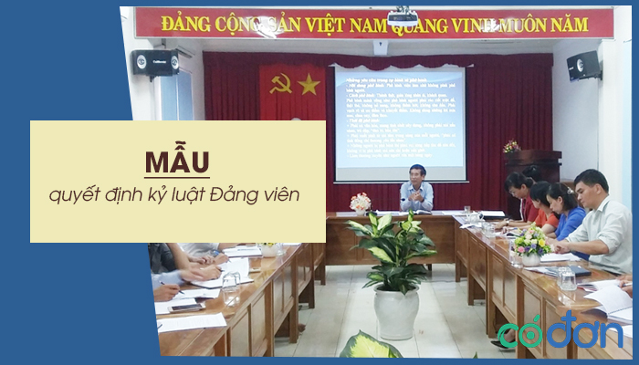 mau quyet dinh ky luat dang vien