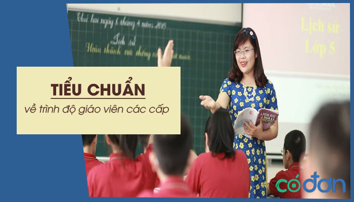 tieu chuan ve trinh do giao vien cac cap hien nay