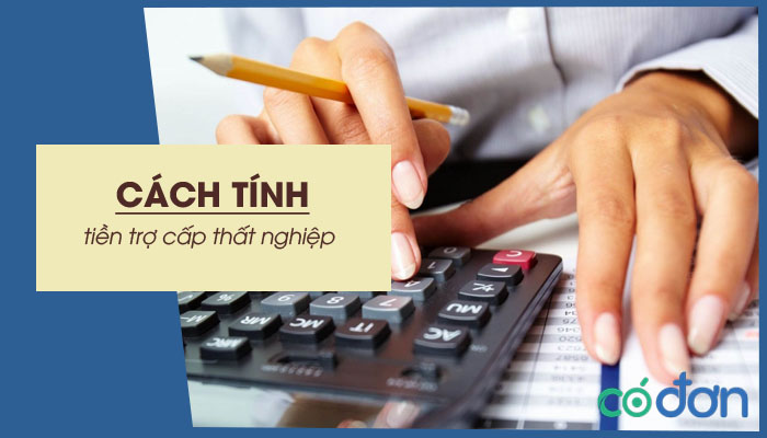 cach tinh tien tro cap that nghiep chuan nhat