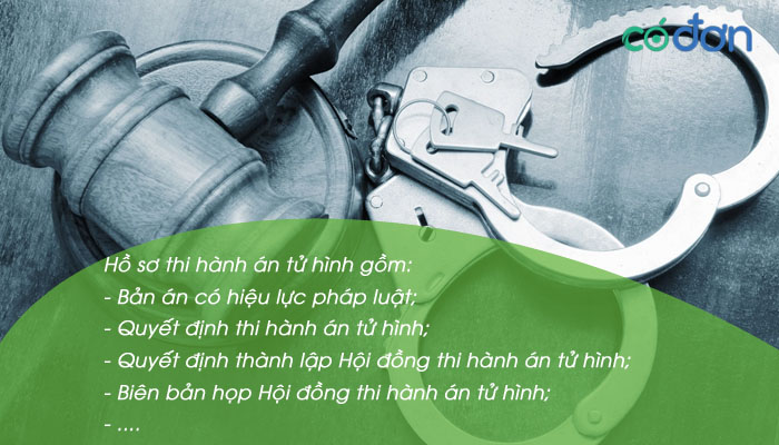 luat thi hanh an hinh su 2