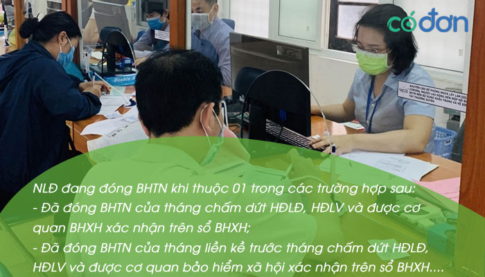 nghi khong luong truoc khi nghi viec co duoc tro cap that nghiep 2