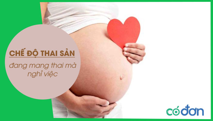 dang mang thai ma nghi viec co duoc huong che do thai san khong