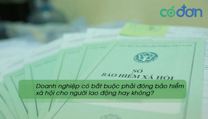 Doanh nghiep co bat buoc phai dong bao hiem