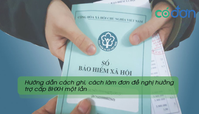 mau 14-hsb mua o dau