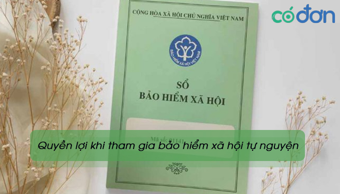 Muc dong bao hiem xa hoi tu nguyen thap nhat la bao nhieu