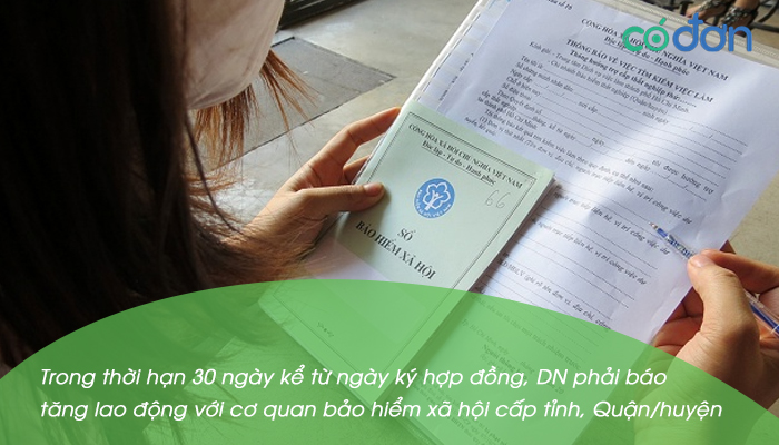 Thu tuc bao tang BHXH cho nguoi da co so