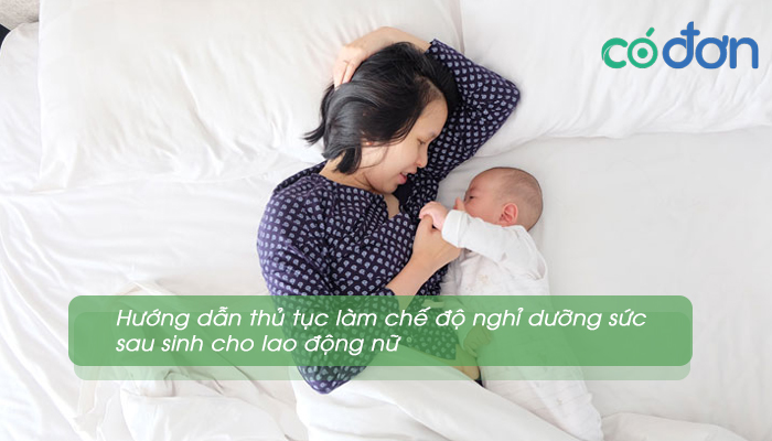 Thu tuc lam che do nghi duong suc sau sinh