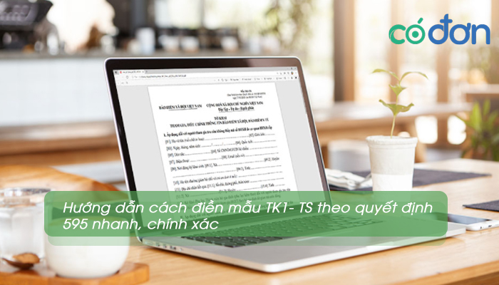 cach dien mau tk1-ts theo quyet dinh 595