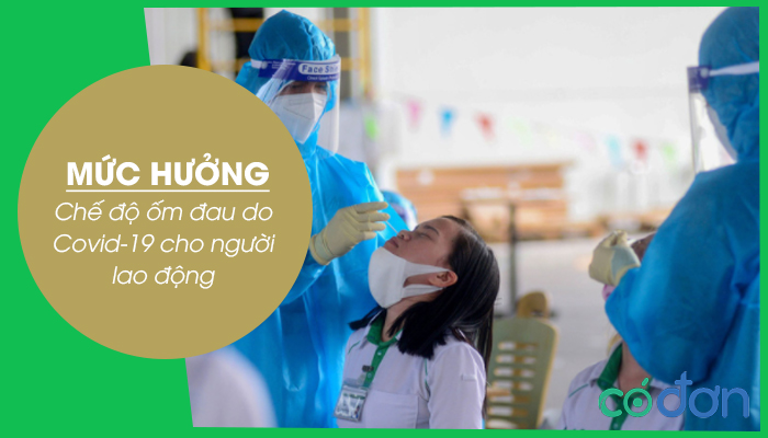 Muc huong che do om dau do Covid-19
