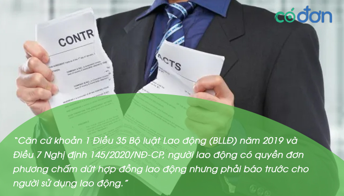 Nghi viec khong bao truoc co sao khong