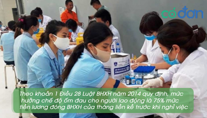 Muc huong che do om dau 2022