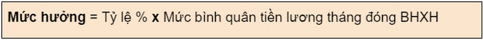 Vi du cach tinh luong huu nam 2022