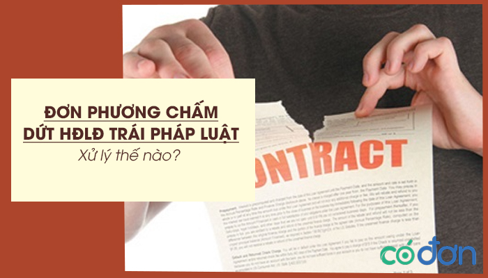 Don phuong cham dut HDLD trai phap luat xu ly nhu the nao