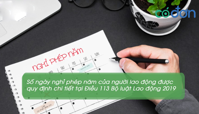 Luat quy dinh ve ngay phep nam