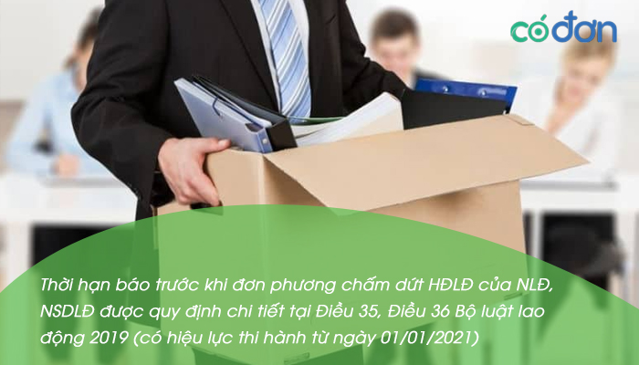 Cham dut hop dong phai bao truoc bao nhieu ngay