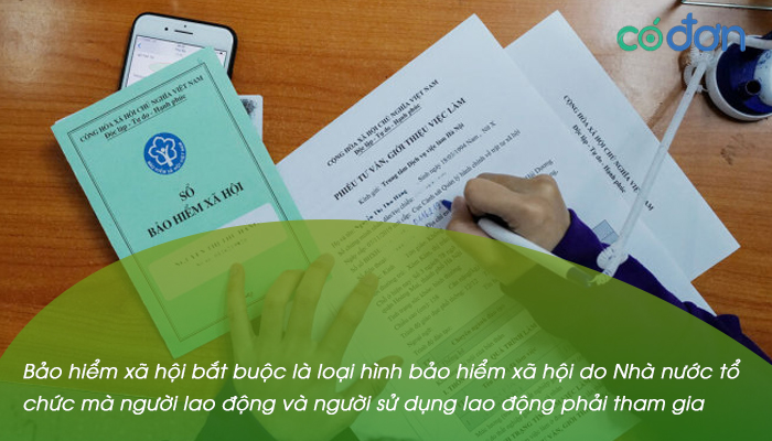 Cac truong hop khong phai dong bao hiem y te, BHXH bat buoc