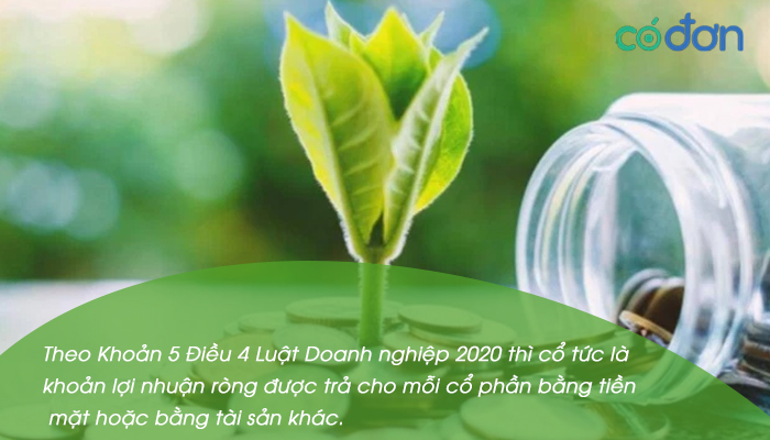Chinh sach co tuc la gi