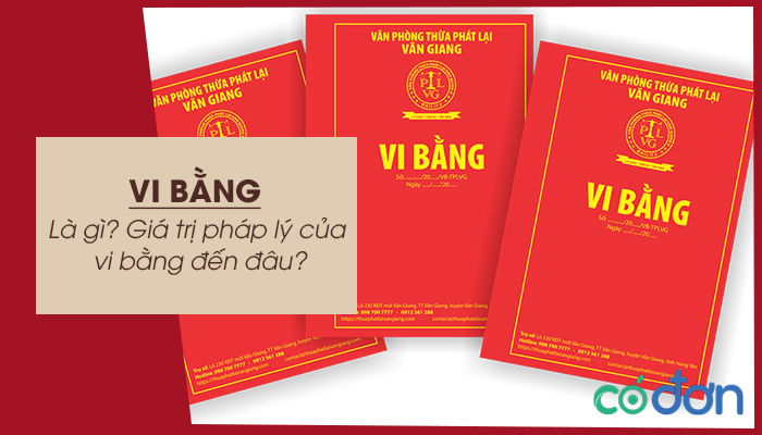 Vi bang la gi