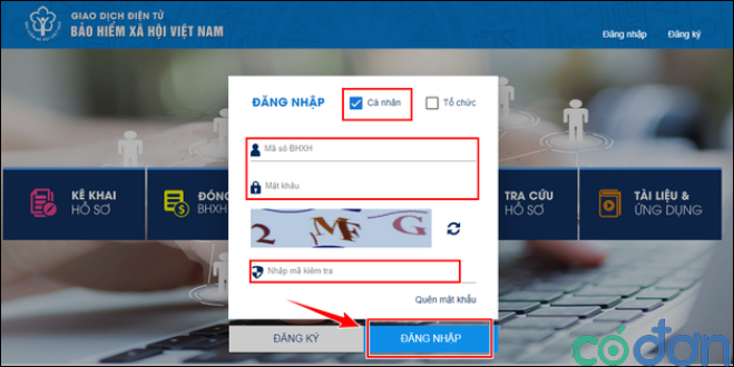 thu tuc cap lai so bao hiem xa hoi online qua mang 4