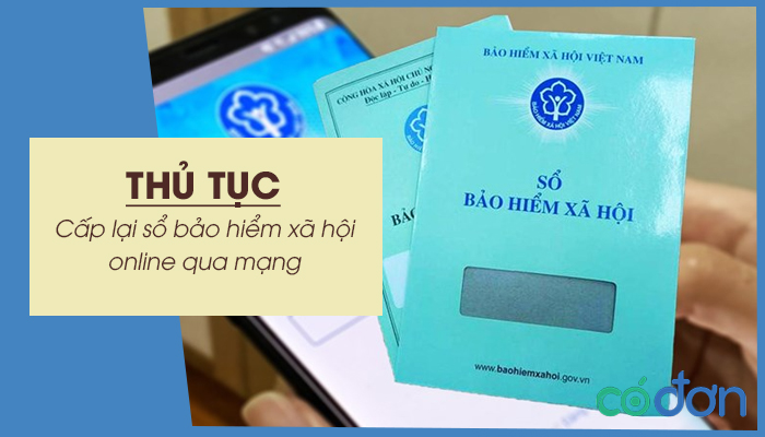 thu tuc cap lai so bao hiem xa hoi online qua mang