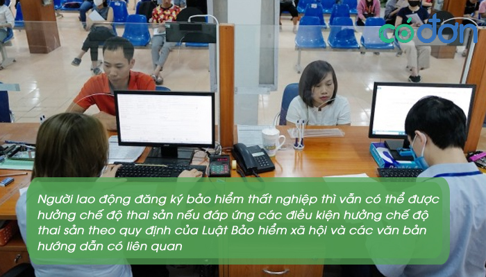 dang ky bao hiem that nghiep co duoc huong che do thai san khong 4