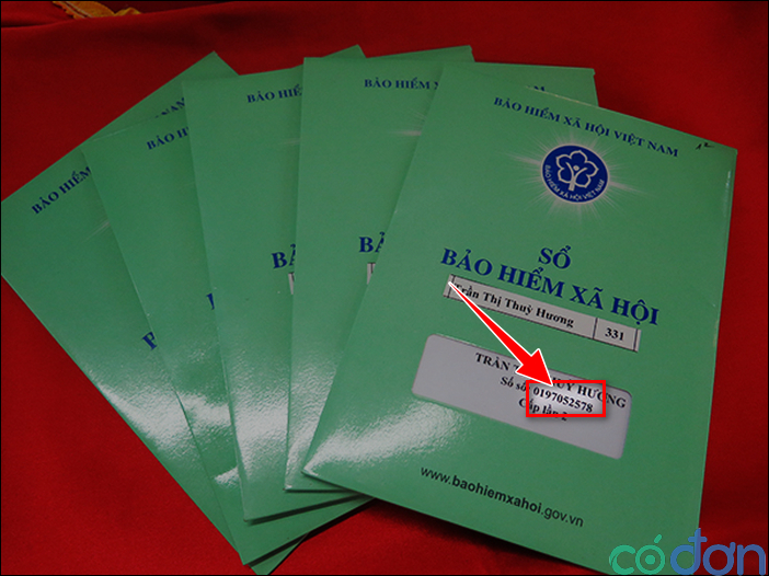 khong nho so bao hiem xa hoi can lam gi de lay lai 6