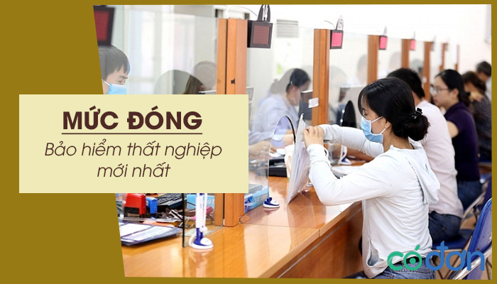 muc dong bao hiem that nghiep
