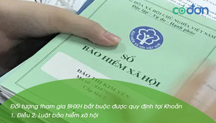 muc dong bhxh bat buoc 2