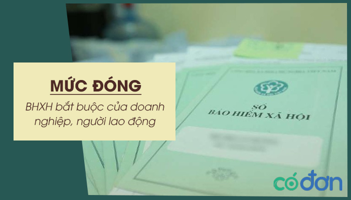 muc dong bhxh bat buoc