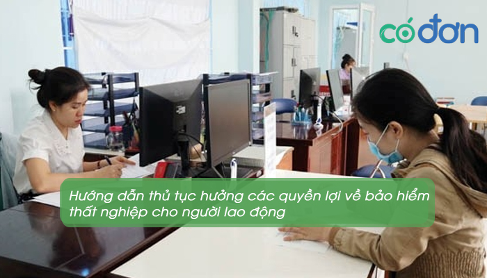 thu tuc va dieu kien huong bao hiem that nghiep 3