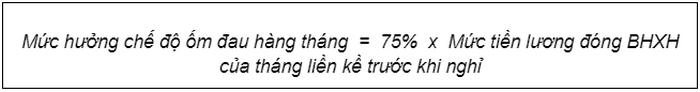 cach tinh bhxh 6