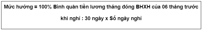 che do thai san 2022 8