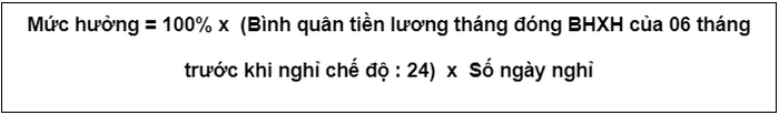 che do thai san 2022 9