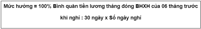 che do thai san 2022 10