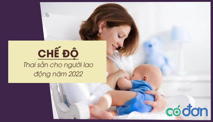 che do thai san 2022