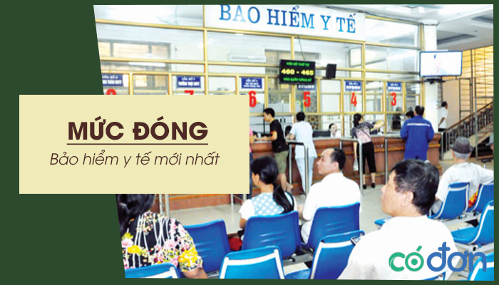 muc dong bhyt