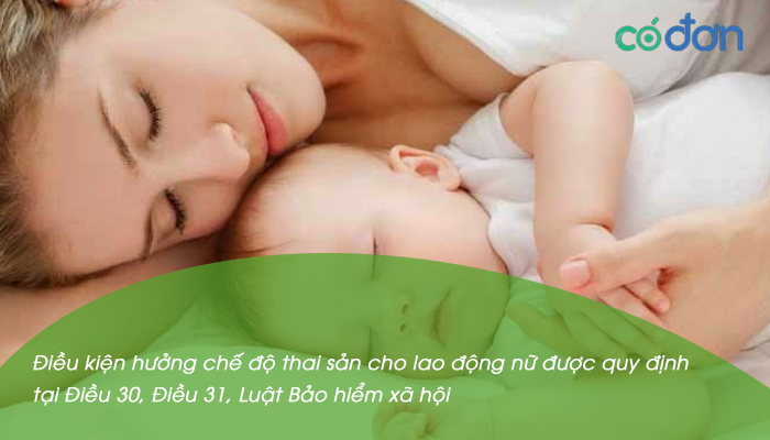 thu tuc huong che do thai san 2