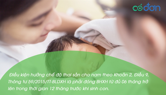 Ho so huong che do thai san cho chong