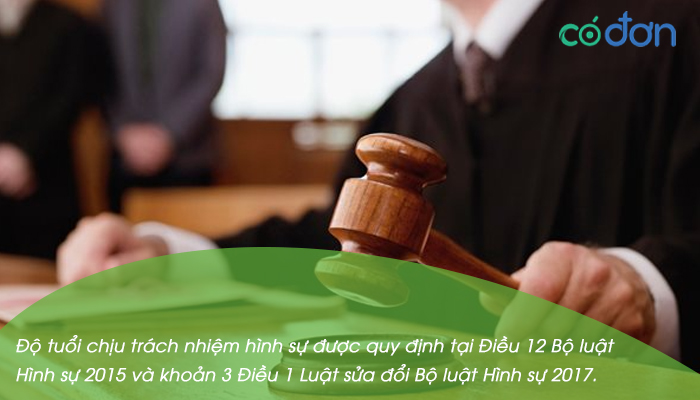 do tuoi chiu trach nhiem hinh su trach nhiem hanh chinh 2