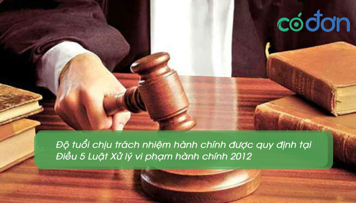 do tuoi chiu trach nhiem hinh su trach nhiem hanh chinh 3