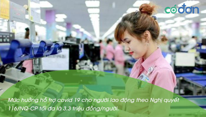 nghi quyet 116 nq cp ho tro nld nguoi su dung lao dong bi anh huong covid 19 3