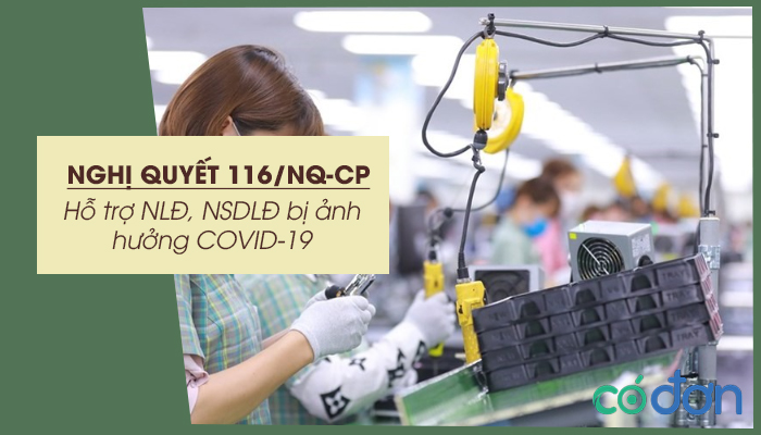 nghi quyet 116 nq cp ho tro nld nguoi su dung lao dong bi anh huong covid 19