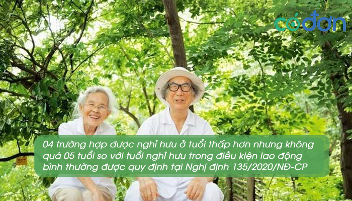 nghi dinh 135 2020 nd cp ve tuoi nghi huu 3