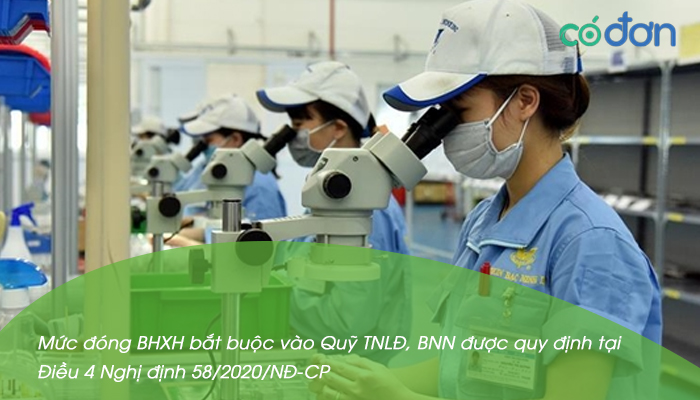 nghi dinh 58 2020 nd cp ve muc dong bhxh bat buoc vao quy tnld bnn 2