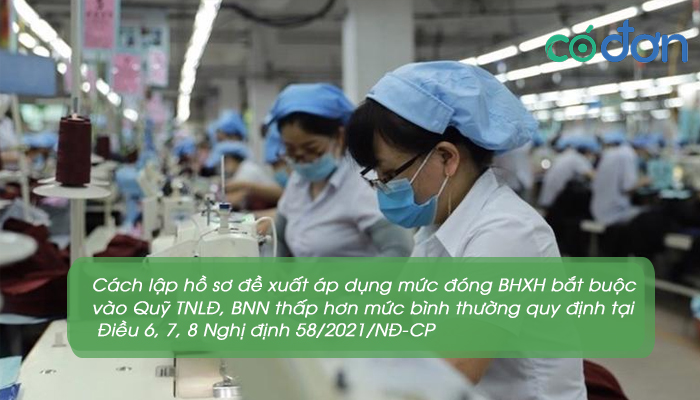 nghi dinh 58 2020 nd cp ve muc dong bhxh bat buoc vao quy tnld bnn 3