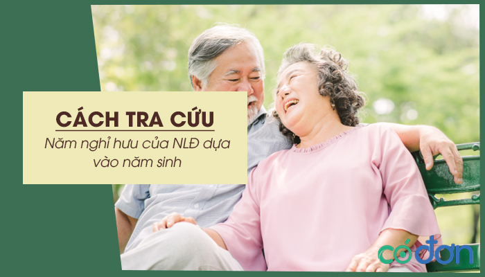 cach tra cuu nam nghi huu cua nld dua vao nam sinh