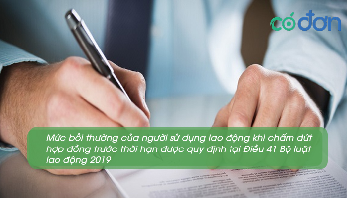 boi thuong cham dut hop dong truoc thoi han 3