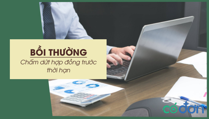 boi thuong cham dut hop dong truoc thoi han