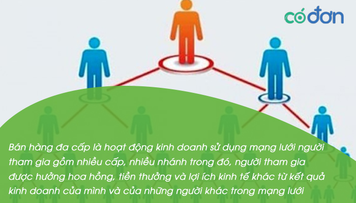 da cap la gi dau hieu da cap lua dao vi pham phap luat 2