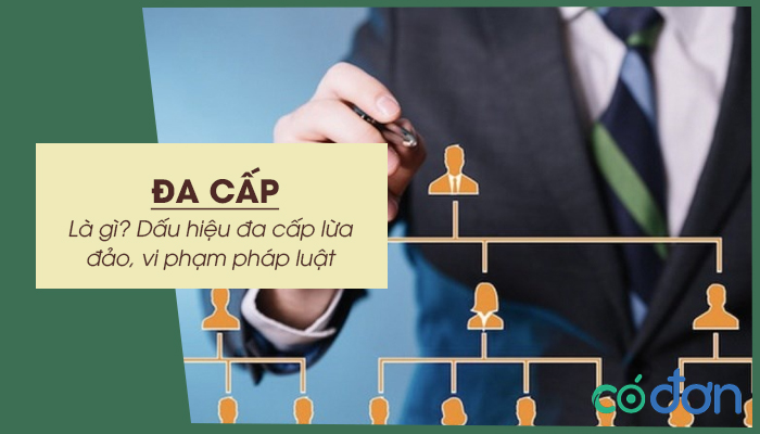 da cap la gi dau hieu da cap lua dao vi pham phap luat
